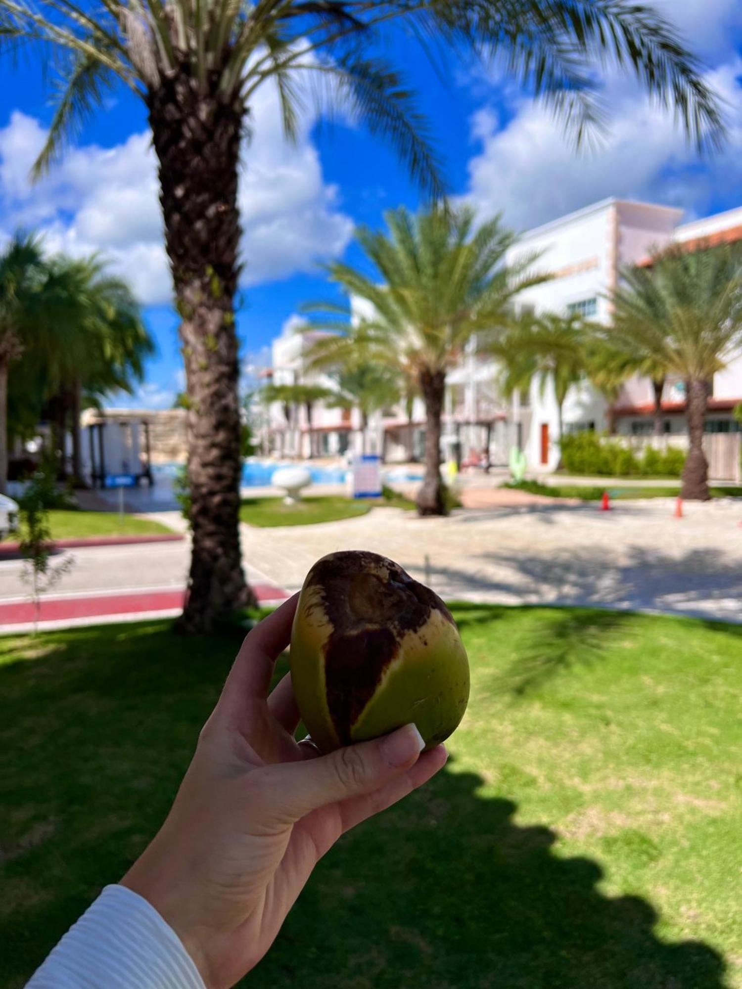 Tanama Hotel Punta Cana Exterior foto